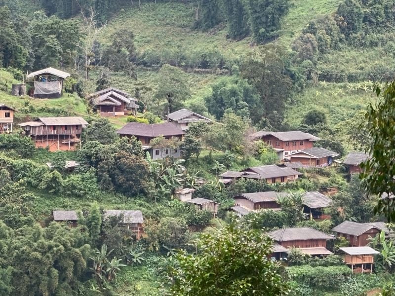 The Karen Coffee Trail A Hilltribe Immersion
