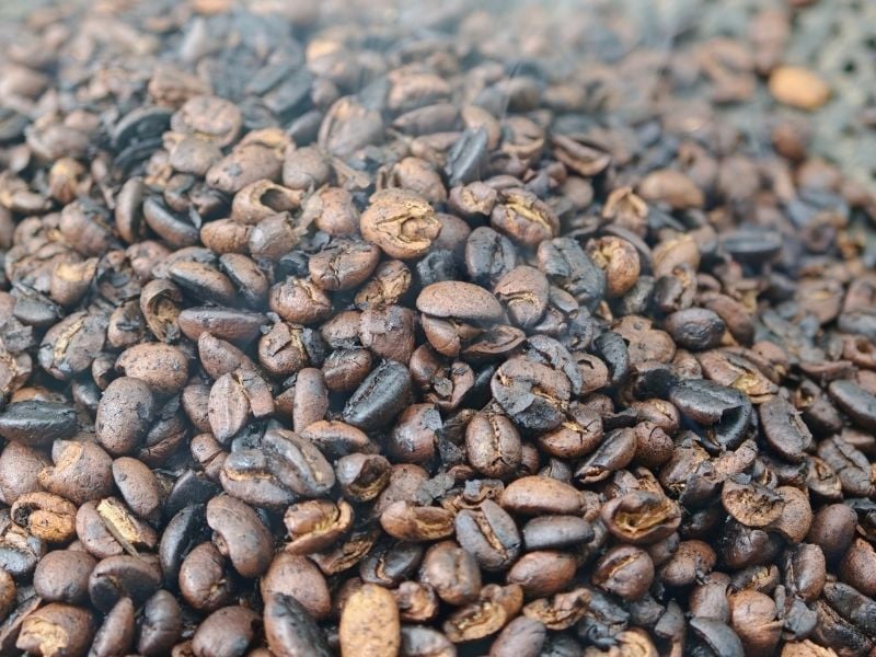 The Karen Coffee Trail A Hilltribe Immersion