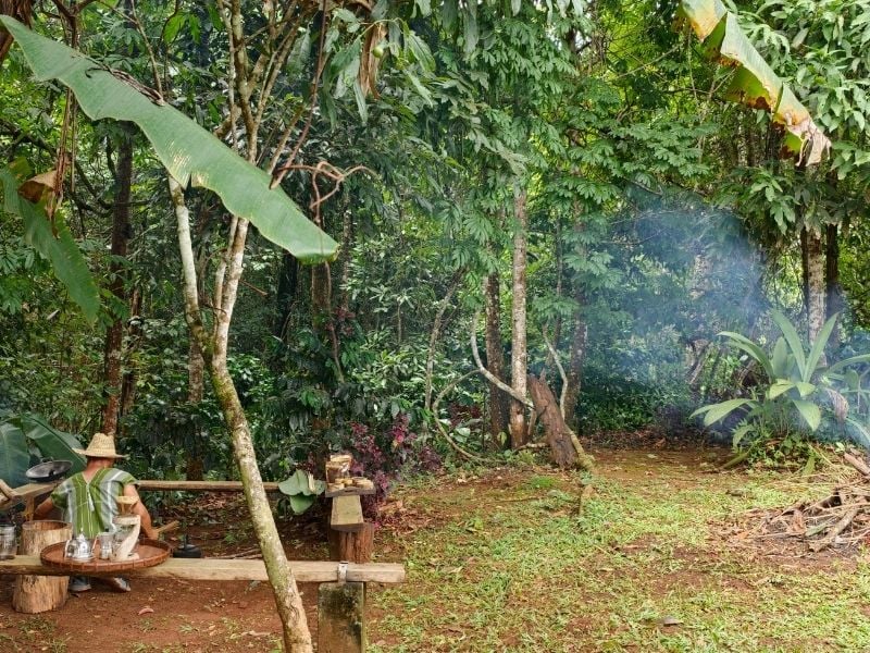 The Karen Coffee Trail A Hilltribe Immersion