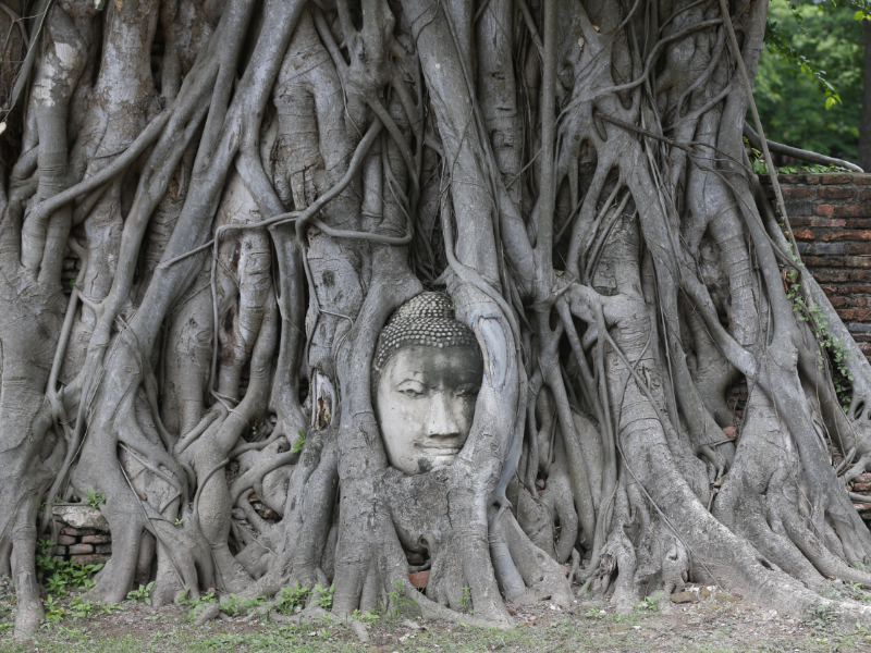 The Kingdom of Ayutthaya