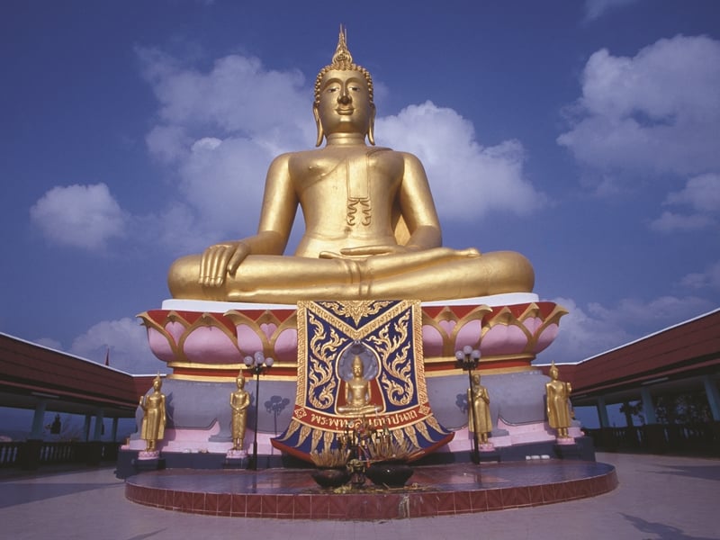 The Local Life Samui