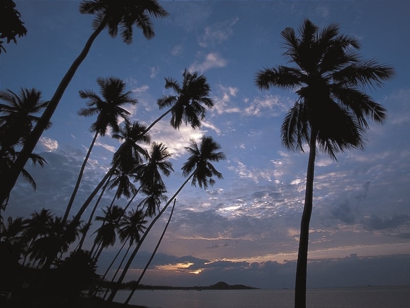 The Local Life Samui