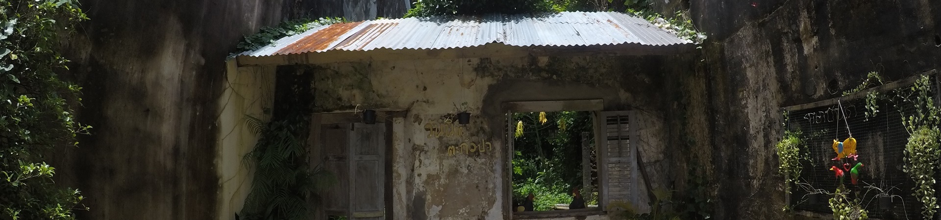 Image of The Lost Amazon & Takuapa Old Town