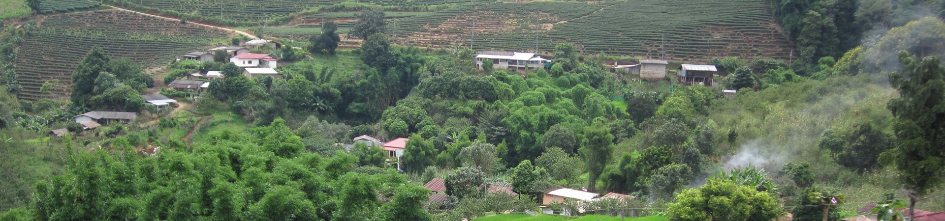 Image of The Marvelous Monastery (Pick up in City)