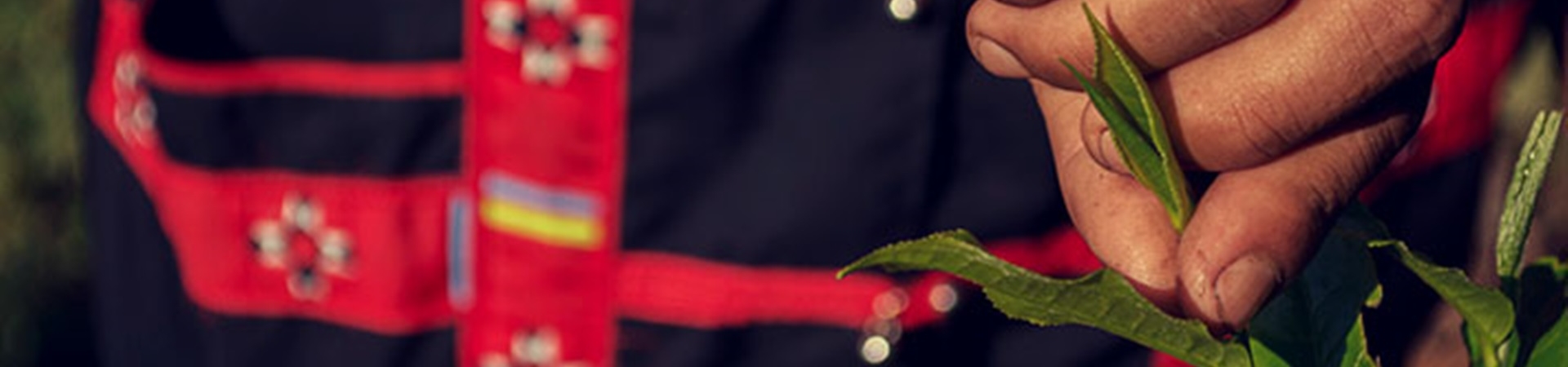 Image of The Monsoon Tea House