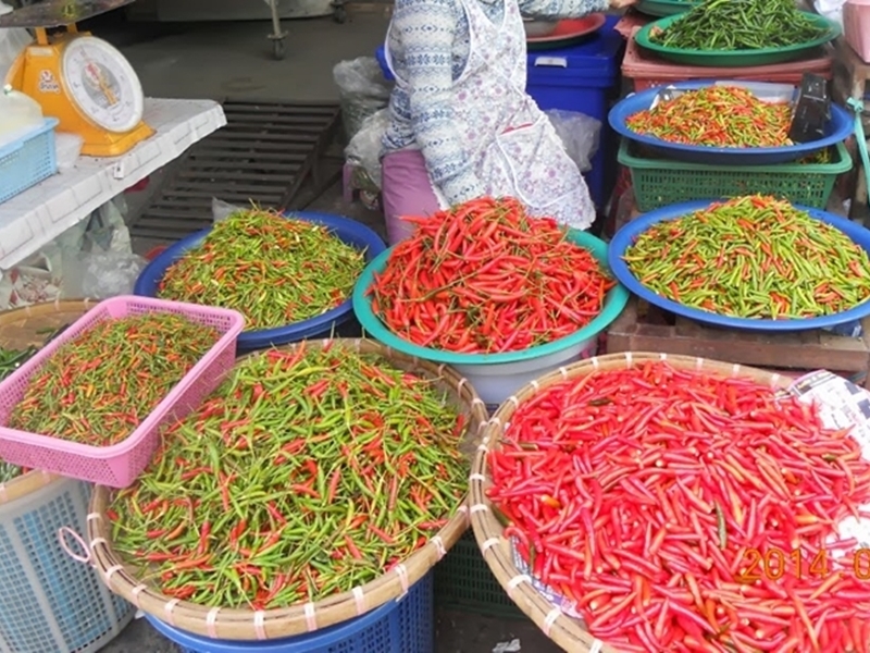 The Old City Discovery by Walking