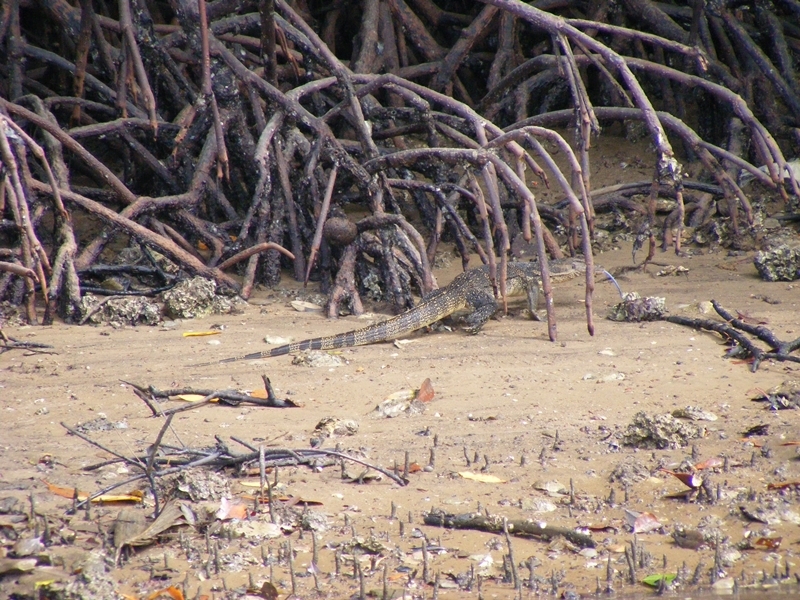 The Unseen Trekking Trail