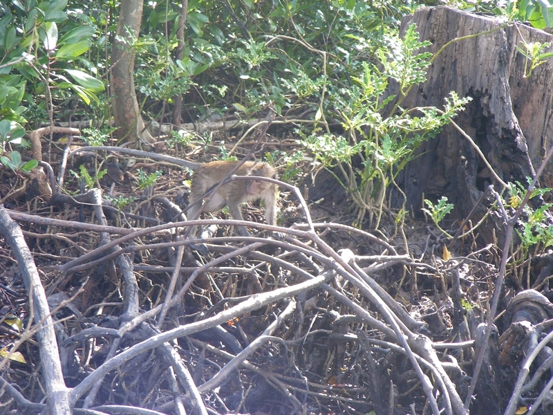 The Unseen Trekking Trail