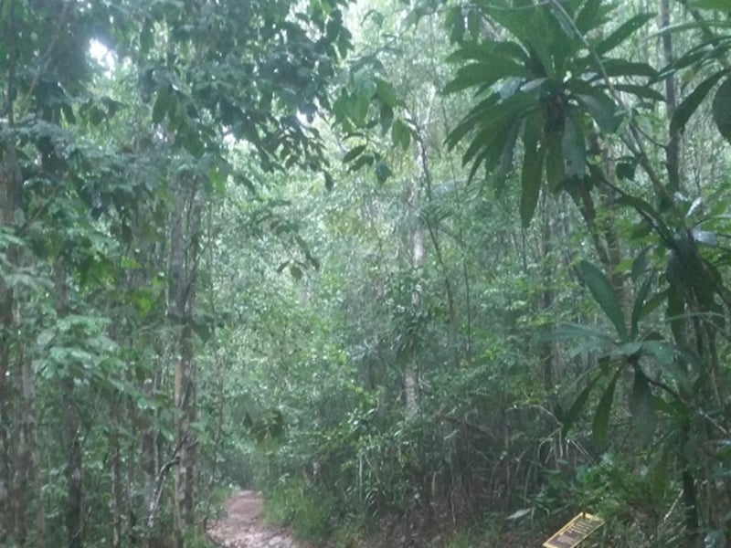 The Unseen Trekking Trail