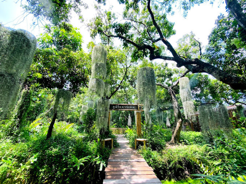 Thonburi Klongs Eco-Uncovered