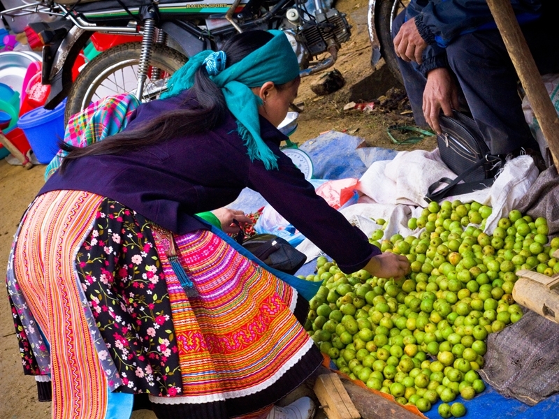 Tunnel Temple and Hilltribe Visit