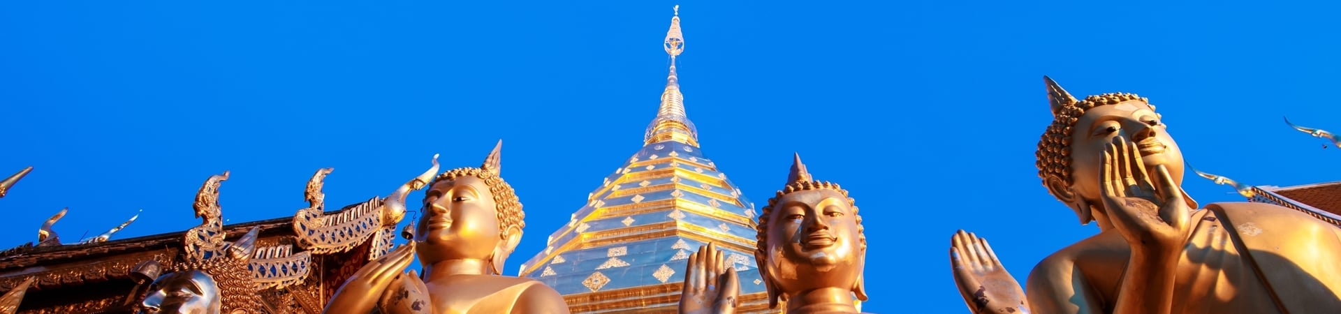 Image of Wat Phra That Doi Suthep & White Hmong Hilltribe
