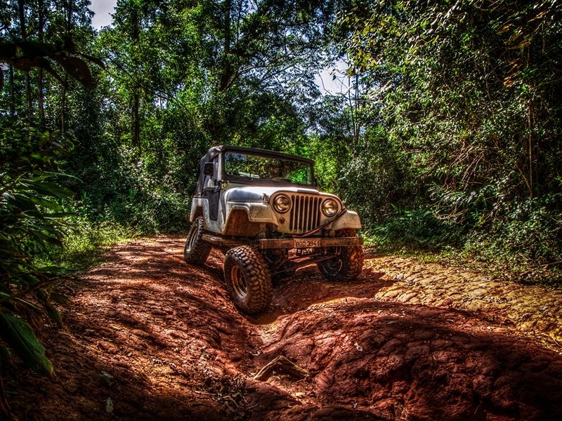 Wild Jeep Safari