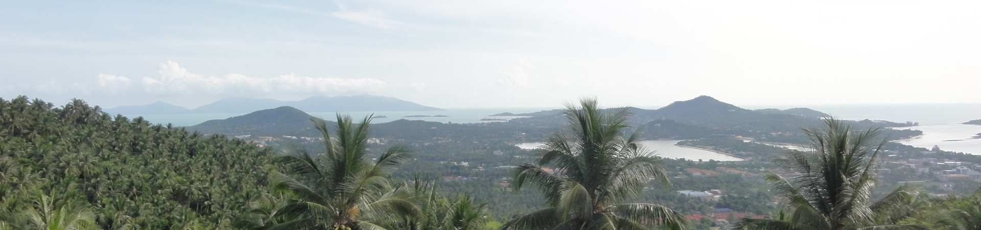 Image of Wild Jeep Safari