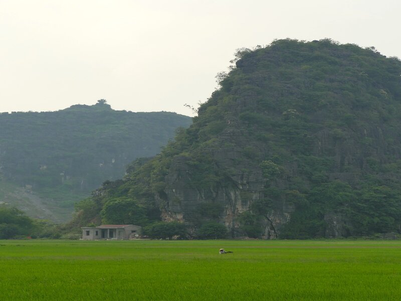 Authentic Ninh Binh & Tam Coc Discovery