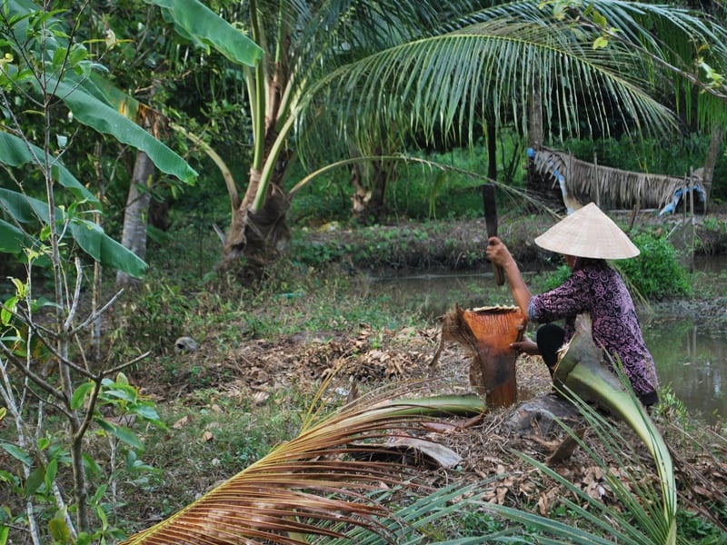 In-depth Agricultural Life in Cai Be