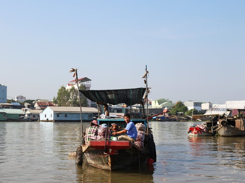 In-depth Agricultural Life in Cai Be