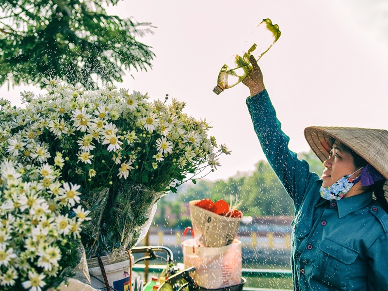 Authentic Life of Hanoi