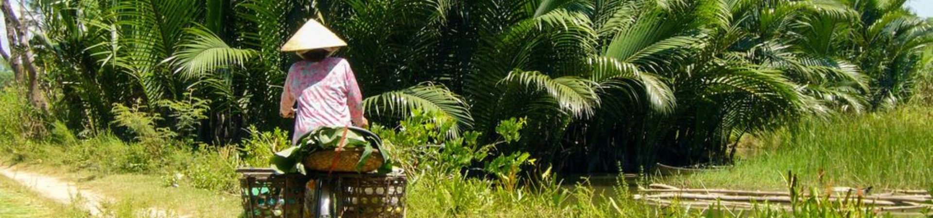 Image of Chilled Hoi An - Thu Bon River Ride