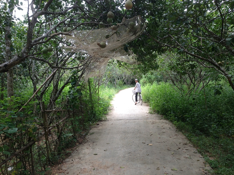 Discover Villages and Quaint Outskirts of Hue