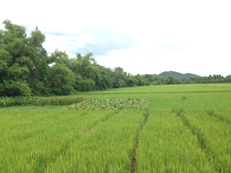 Discover Villages and Quaint Outskirts of Hue