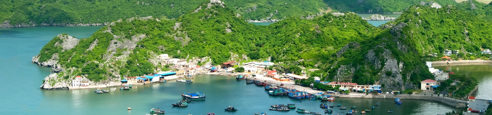 Image of Cruise Halong Bay