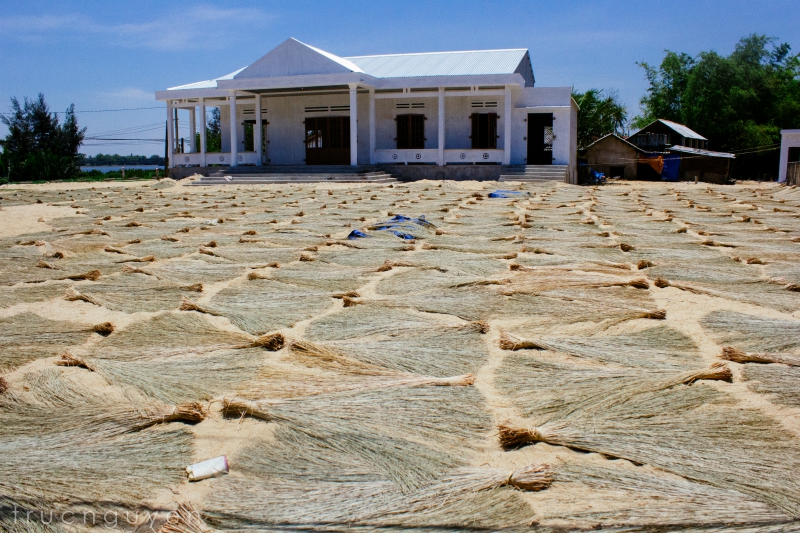 Cycling to Explore Local Life Along Thu Bon River