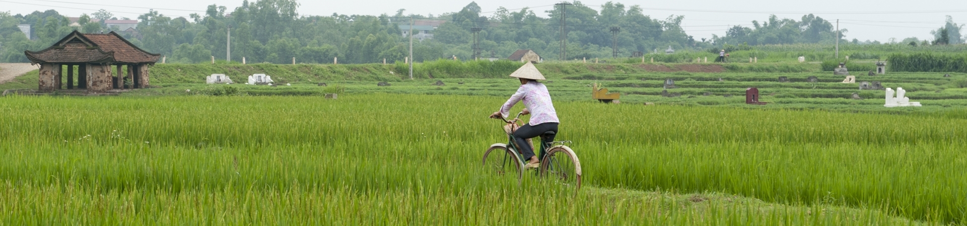 Image of A Day Duong Lam Village