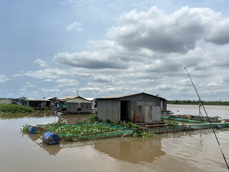 Essence of The Mekong