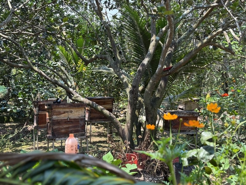 Essence of The Mekong