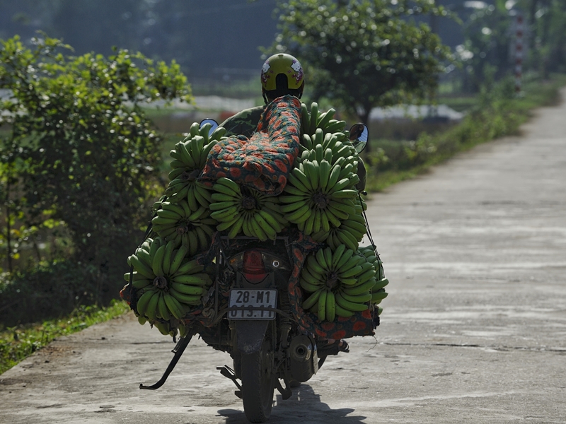 Excursion to Thanh Toan & Sinh Village