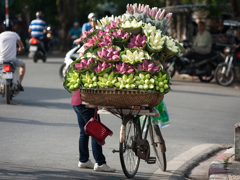 Experience Hanoi Like A Local