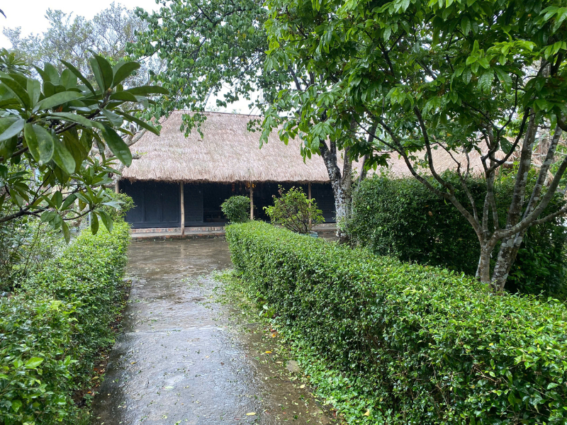 Nature’s Beauty Along Hue Lagoons
