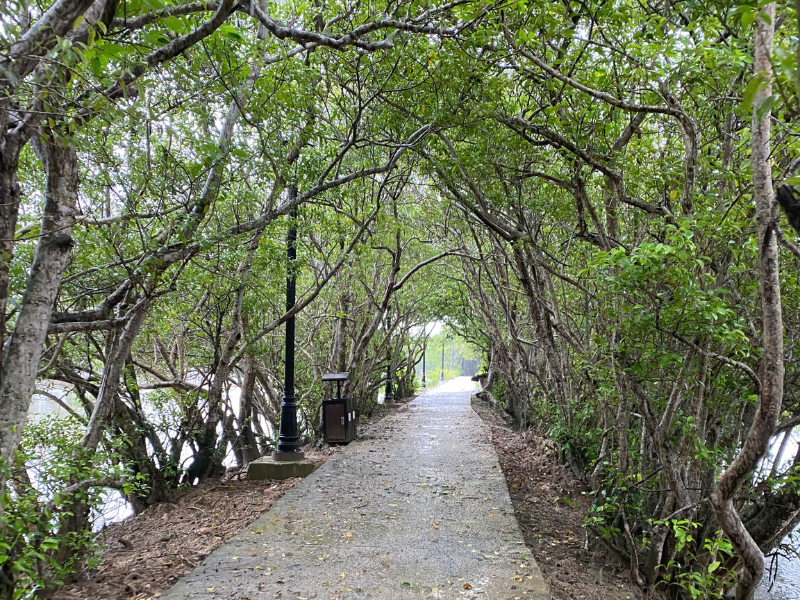 Nature’s Beauty Along Hue Lagoons