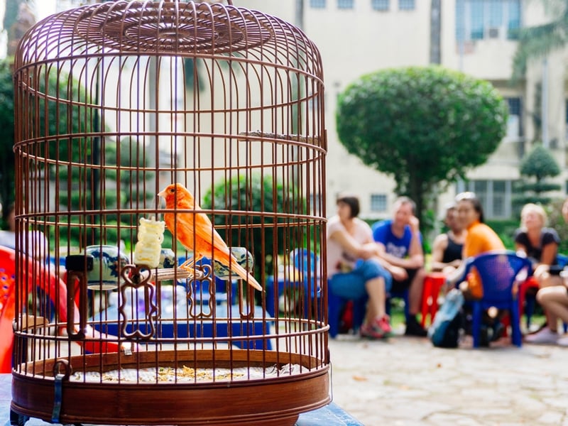 Explore HCMC by Vintage Vespa - 4 Hours