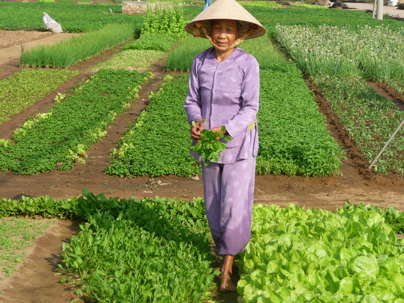 From Farming To Fishing (Join In)