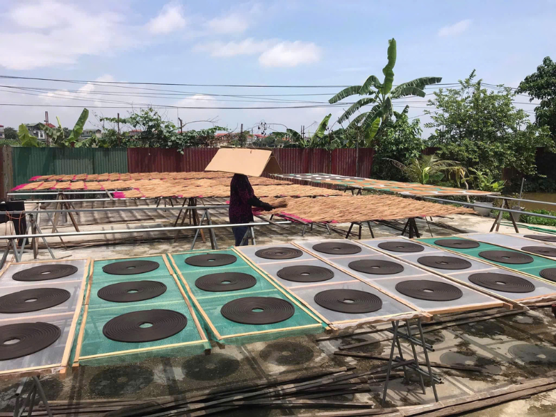 Half Day In Quang Phu Cau Incense Village