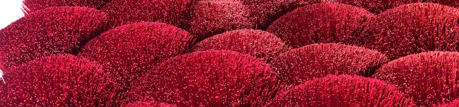 Image of Half Day In Quang Phu Cau Incense Village