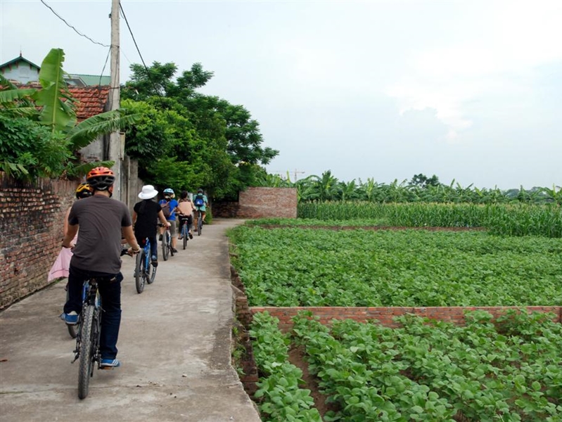 Hanoi Rural Life By Bicycle