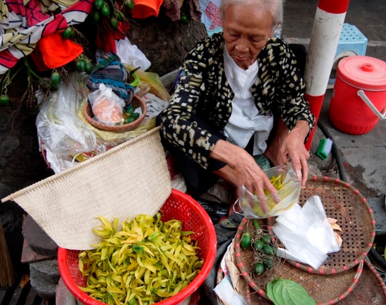 Hanoi Street Food Tour