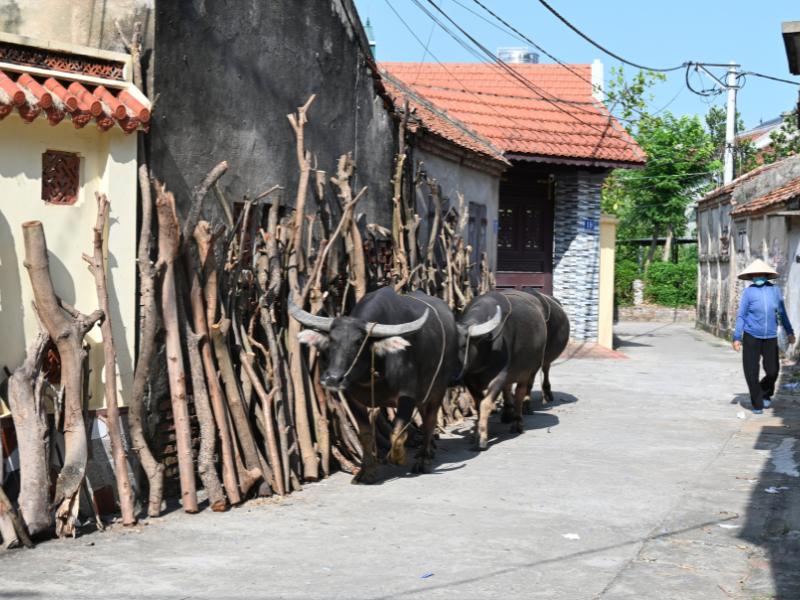 Hanoi Villages & Artisan Craft Tour
