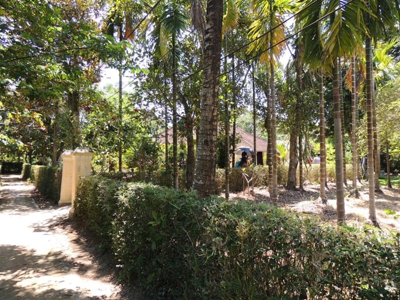 Historic Thanh Toan Bridge and Phuoc Tich Village