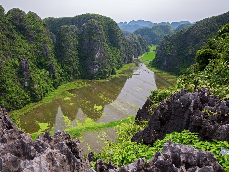 A Day Hoa Lu & Tam Coc in Ninh Binh
