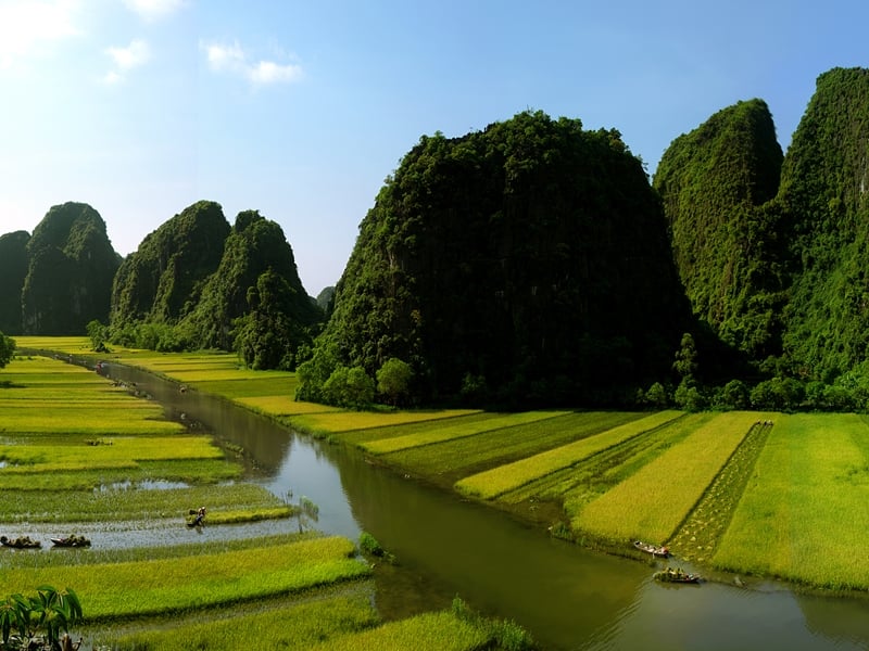 A Day Hoa Lu & Tam Coc in Ninh Binh