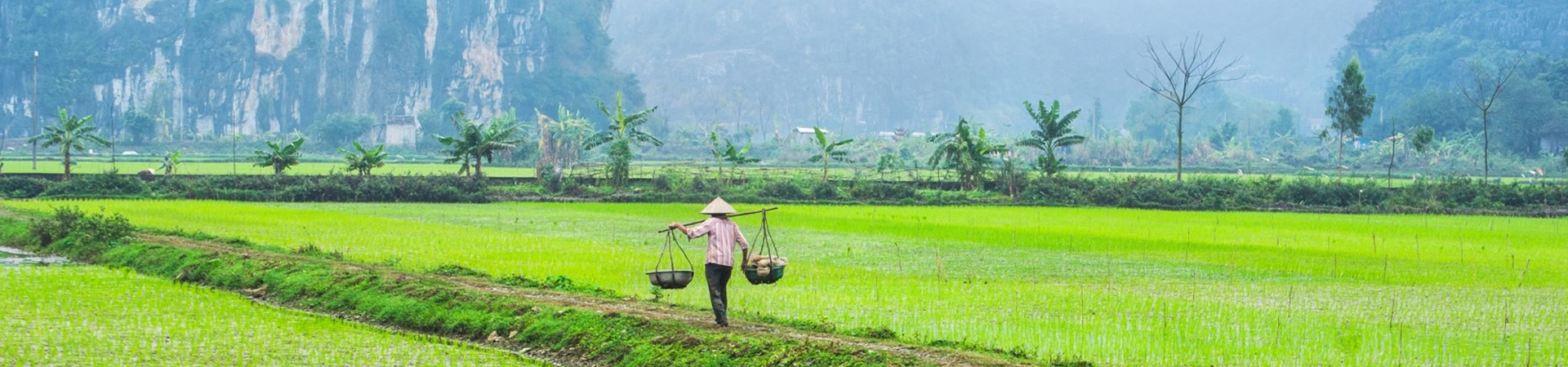Image of A Day Hoa Lu & Tam Coc in Ninh Binh