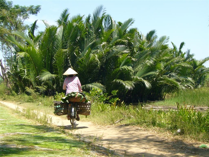 Hoi An Bicycle Tour