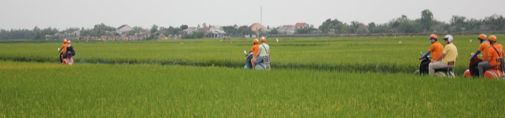 Image of Hoi An AM Countryside Odyssey by Vintage Vespa
