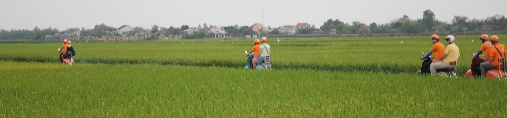 Image of Hoi An Countryside by Vintage Vespa