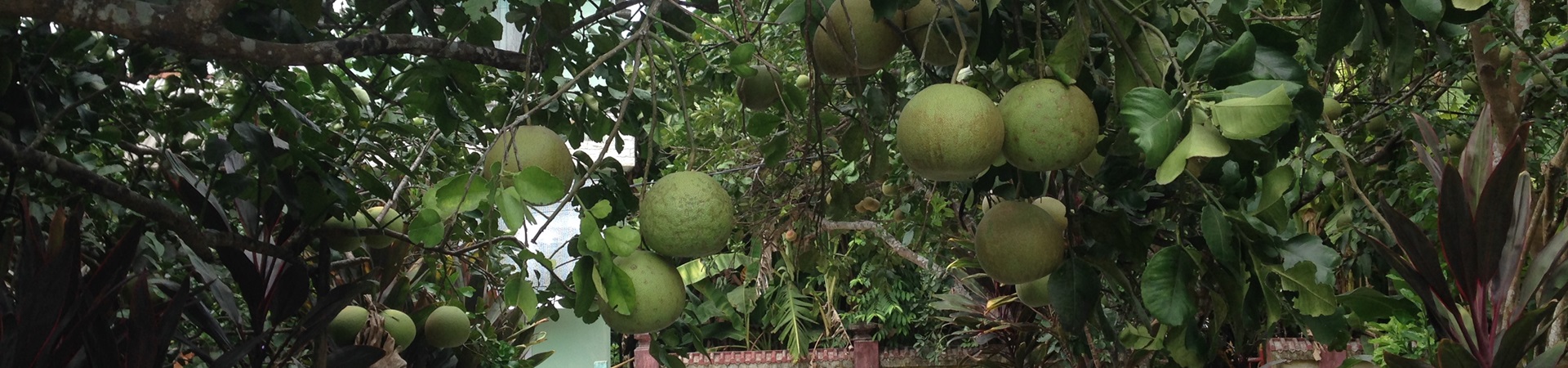 Image of Hue Imperial Relics & Traditional Village Discovery