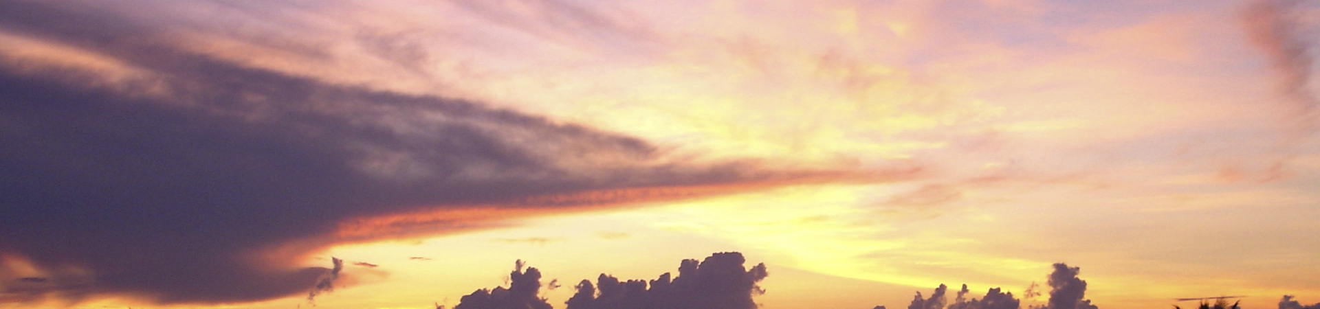 Image of Private Romantic Dining Cruise